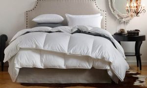 We Sanitize Your Favorite Pillows and Down Comforters